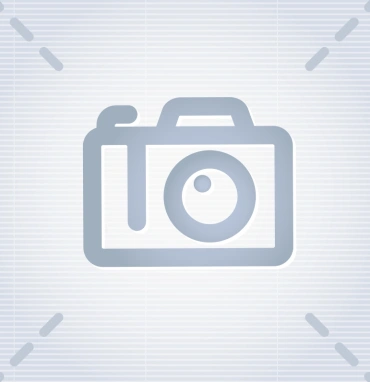 Бегония королевская декоративно лиственная