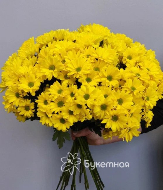 Хризантема кустовая/ветка - салон «Букетная» в Тюмени