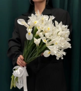 Букет &laquo;Касабланка&raquo; 3