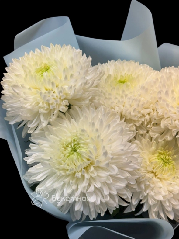 Букет &laquo;Анабель&raquo;