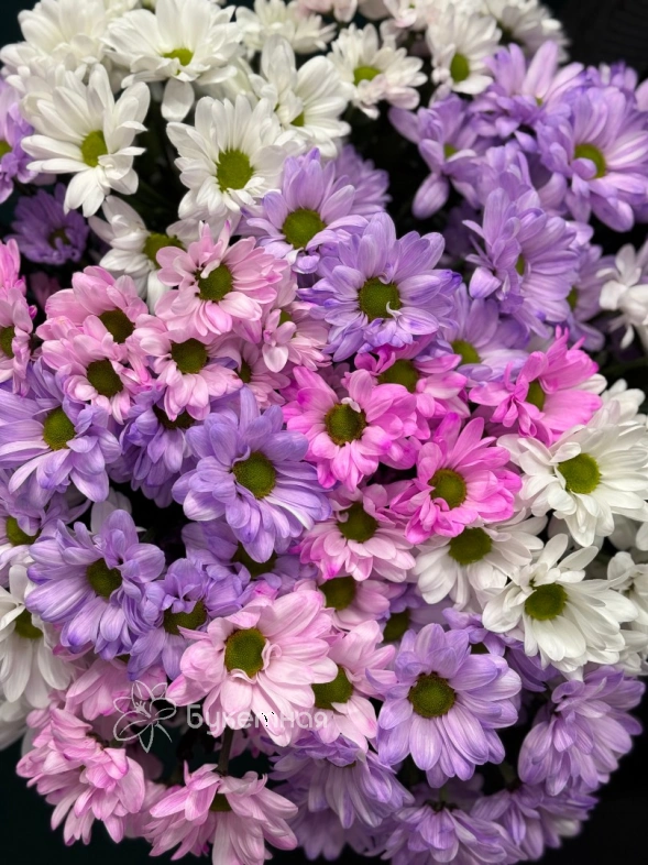 Букет &laquo;Лесли&raquo;