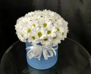 Композиция &laquo;Лина&raquo; 0