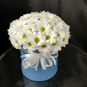 Композиция «Лина»