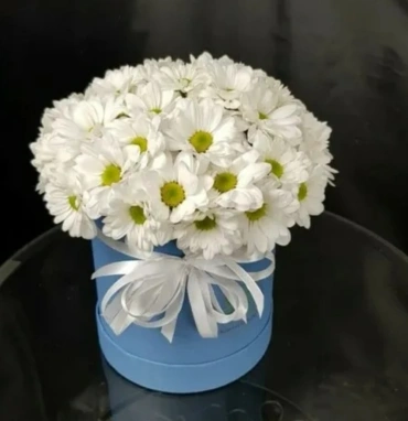 Композиция «Лина»