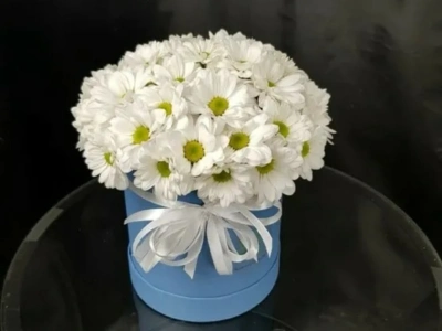 Композиция «Лина»