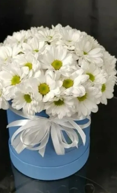 Композиция «Лина»