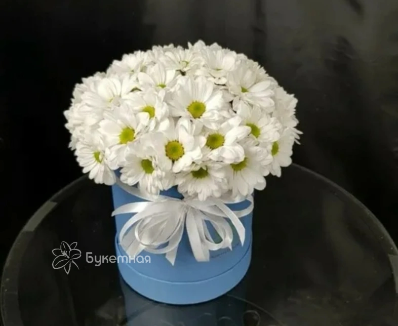 Композиция &laquo;Лина&raquo;