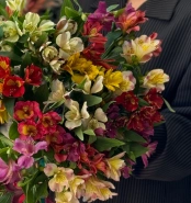 Букет моно &laquo;Аглая&raquo; 2