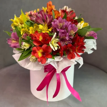 Композиция «Амелия»