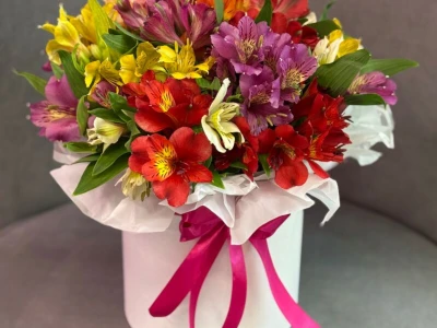 Композиция «Амелия»