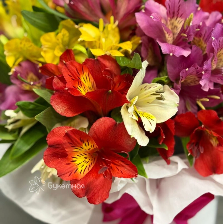 Композиция &laquo;Амелия&raquo;