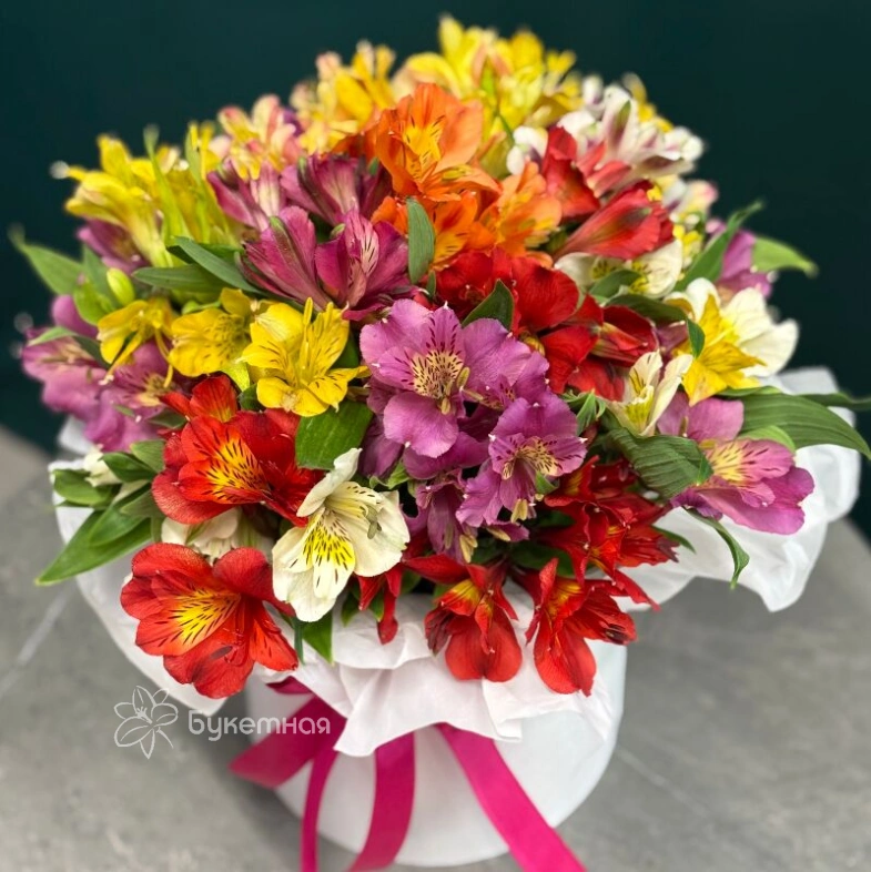 Композиция &laquo;Амелия&raquo;