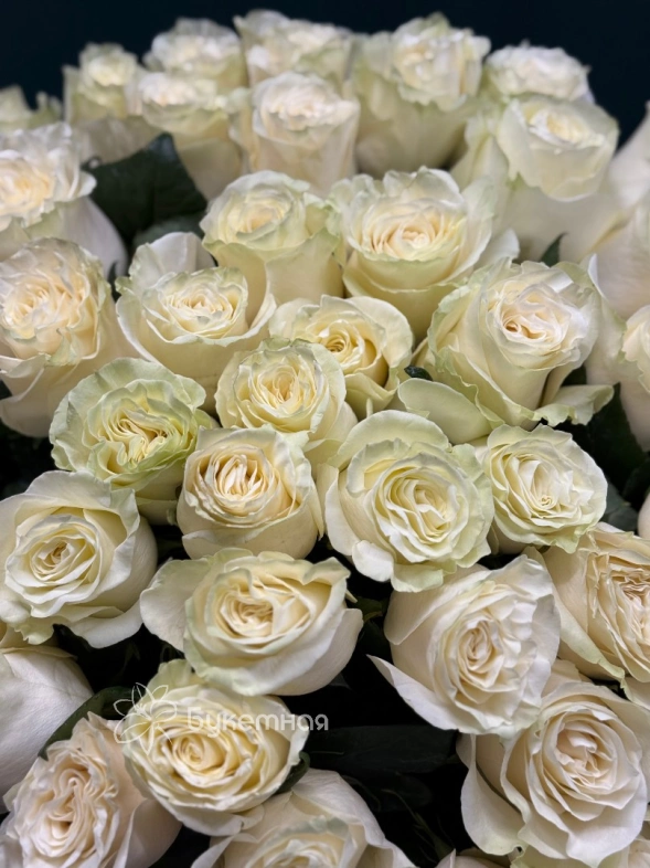 Букет &laquo;Мондиал 51 роза&raquo;