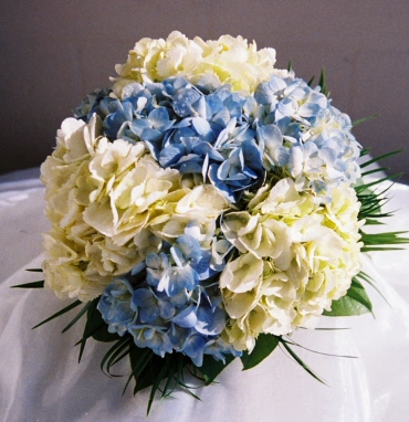 Букет «Дикая невинность»