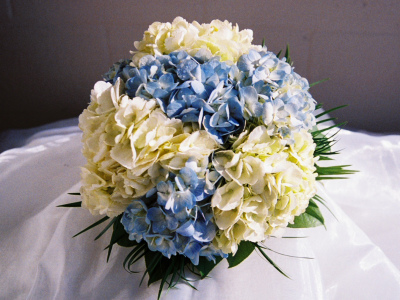 Букет «Дикая невинность»