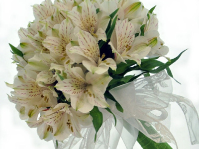 Букет «Зачарованная»