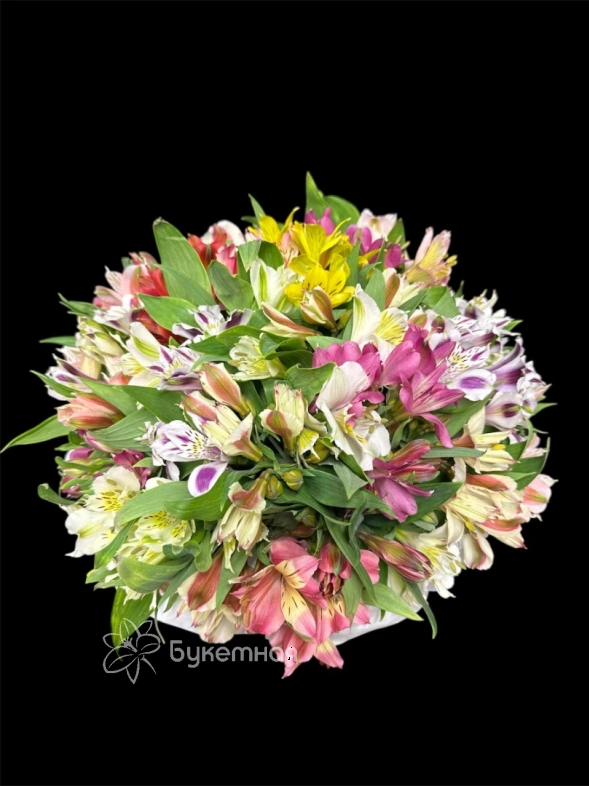 Композиция &laquo;Ангелина&raquo;