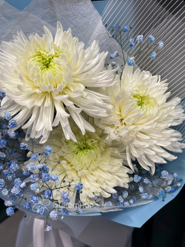 Букет &laquo;Полина&raquo;