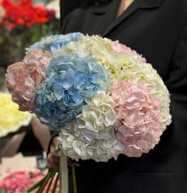 Букет «Гортензия для любимой»