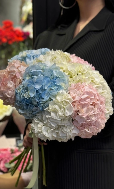 Букет «Гортензия для любимой»