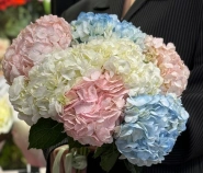 Букет &laquo;Гортензия для любимой&raquo; 1