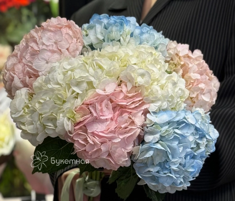 Букет &laquo;Гортензия для любимой&raquo;