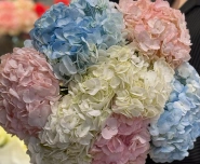 Букет &laquo;Гортензия для любимой&raquo; 2