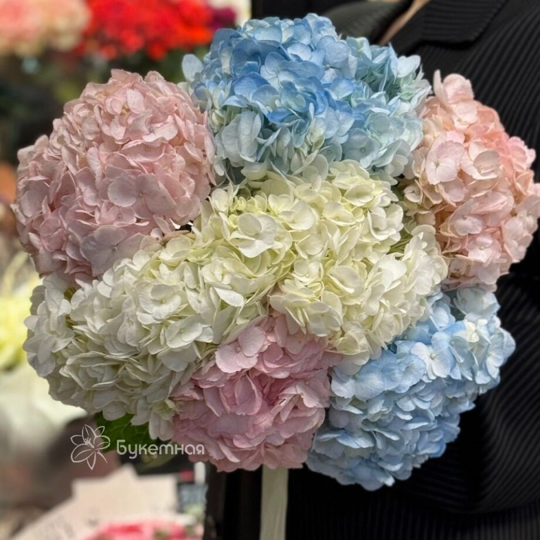 Букет &laquo;Гортензия для любимой&raquo;