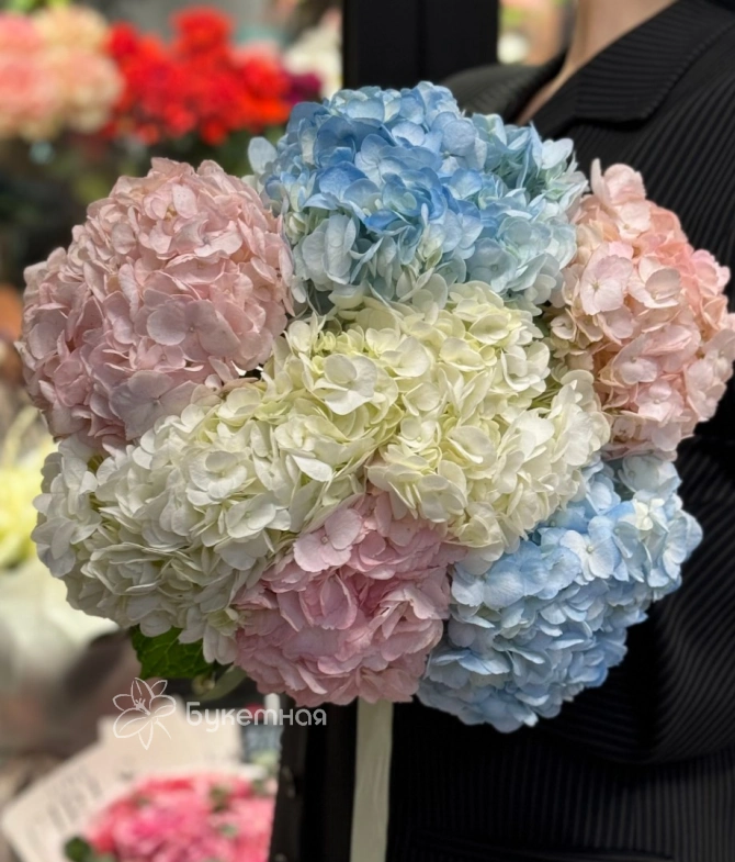 Моно букет  &laquo;Для любимой Гортензии&raquo;