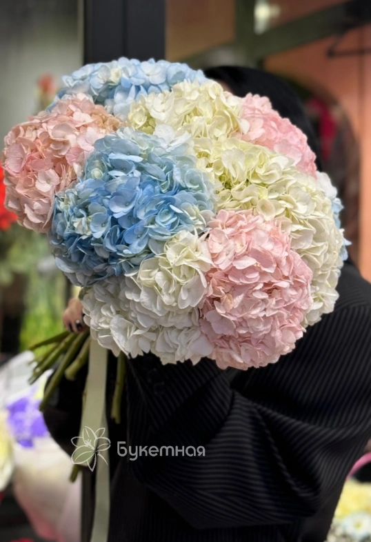 Моно букет  &laquo;Для любимой Гортензии&raquo;