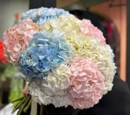 Моно букет  &laquo;Для любимой Гортензии&raquo; 0