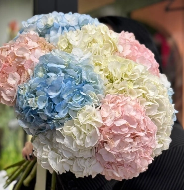 Моно букет  «Для любимой Гортензии»