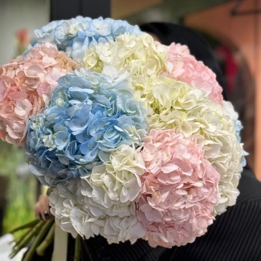 Моно букет  «Для любимой Гортензии»