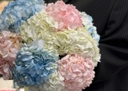 Моно букет  &laquo;Для любимой Гортензии&raquo; 3