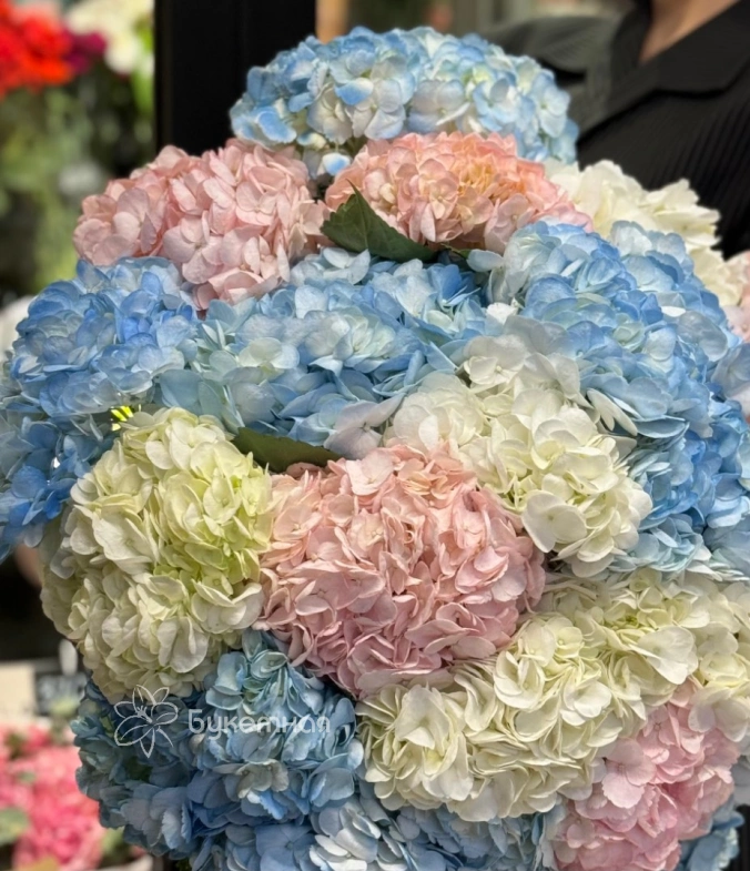 Букет моно &laquo;Королевский&raquo;