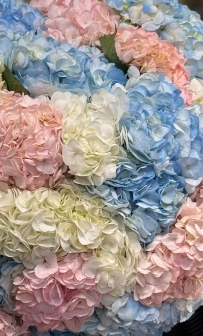 Букет моно «Королевский»