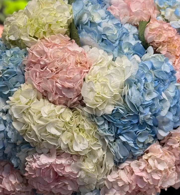 Букет моно &laquo;Королевский&raquo;