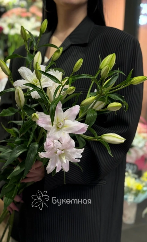 Лилия &laquo;Амистад&raquo;