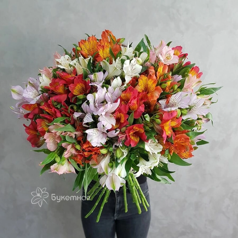 Альстромерия