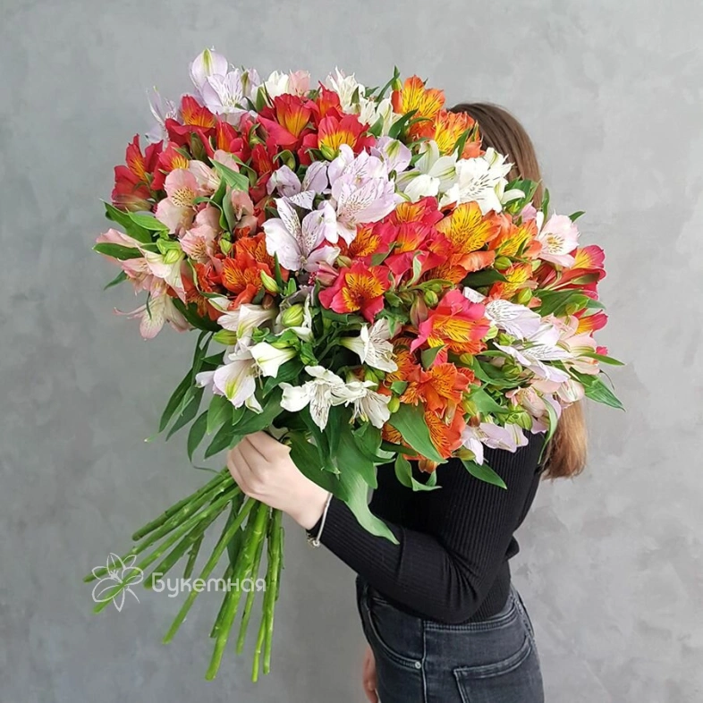 Альстромерия