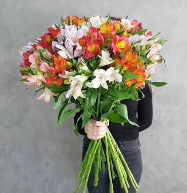 Альстромерия