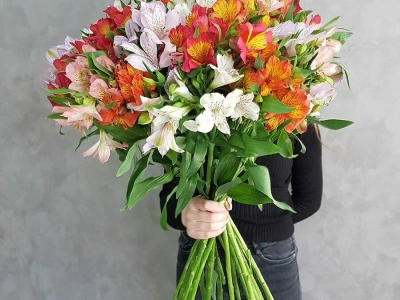 Альстромерия