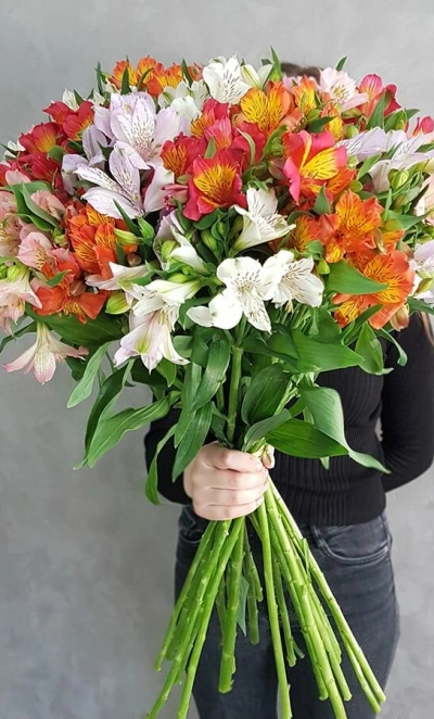 Альстромерия