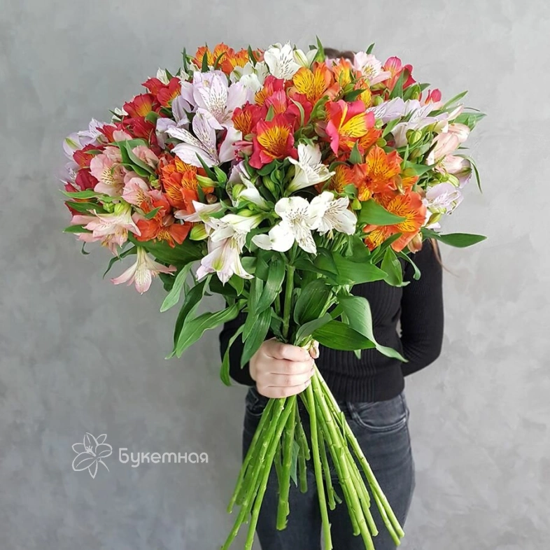 Альстромерия