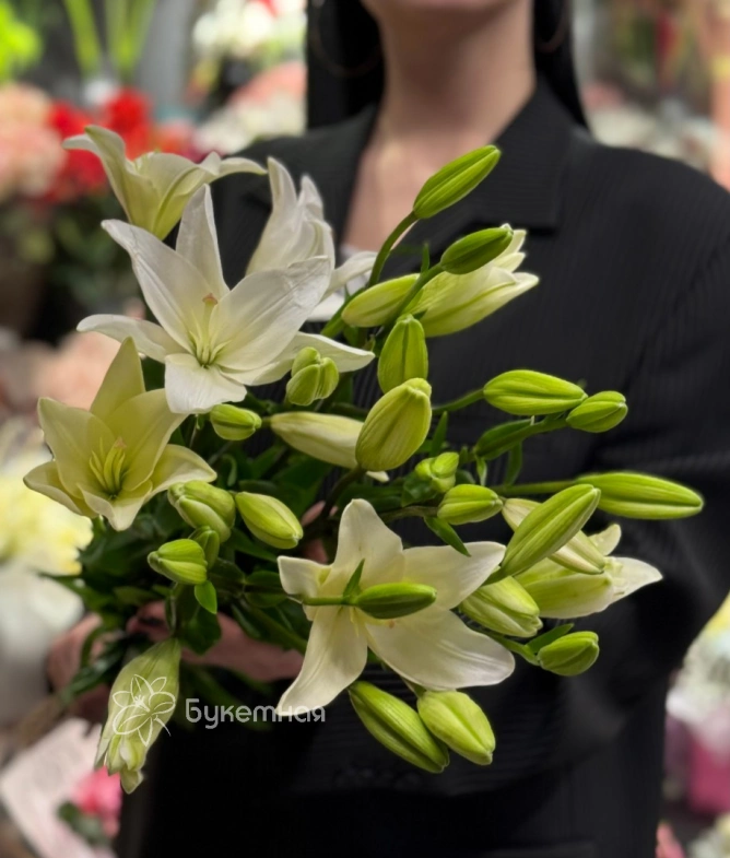 Лилия &laquo;Бах&raquo;