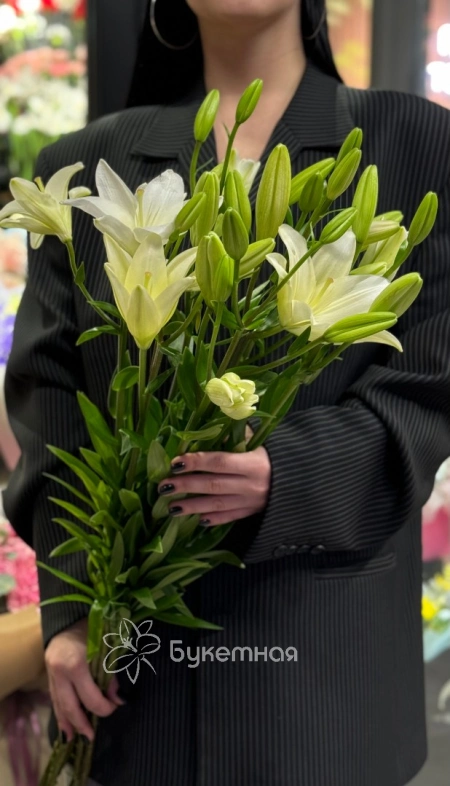 Лилия &laquo;Бах&raquo;