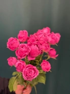 Роза кустовая пионовидная &laquo;Мисти Баблс&raquo; 1