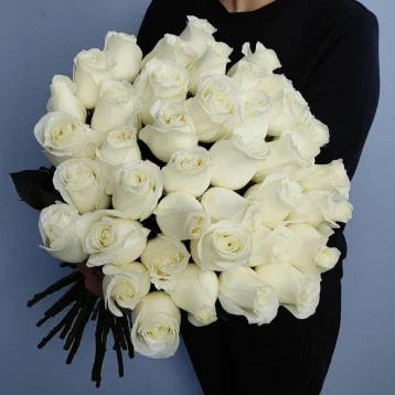 Роза Проуд 50 см