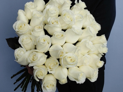 Роза Проуд 50 см