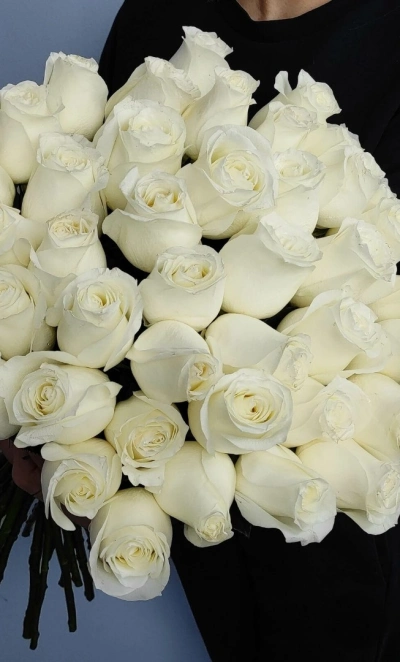 Роза Проуд 50 см